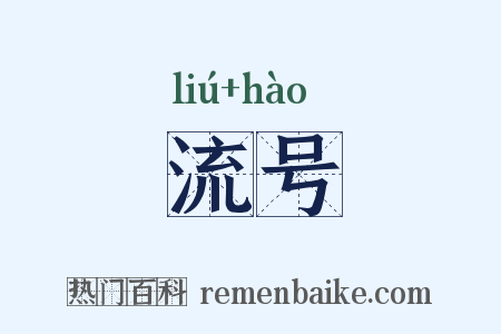 流号是什么意思的图片
